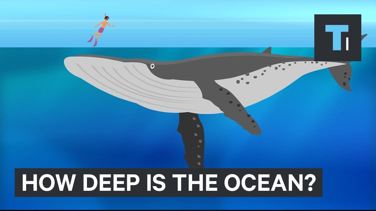 This incredible animation shows how deep the ocean really is – eXodif