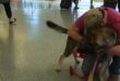 Army veteran Vance McFarland hugs his former bomb-sniffing dog Ikar at Boise airport