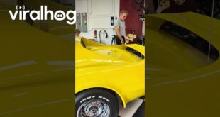 74-year-old dad surprised with a yellow 1974 Corvette Stingray
