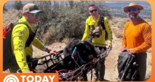 Deputies rescue Atlas, a 130-pound dog, from a mountain trail
