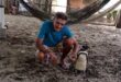 Joao Pereira de Souza with Dindim the Magellanic penguin in Proveta, Brazil