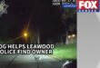 Dog on a leash leads a Leawood police officer home