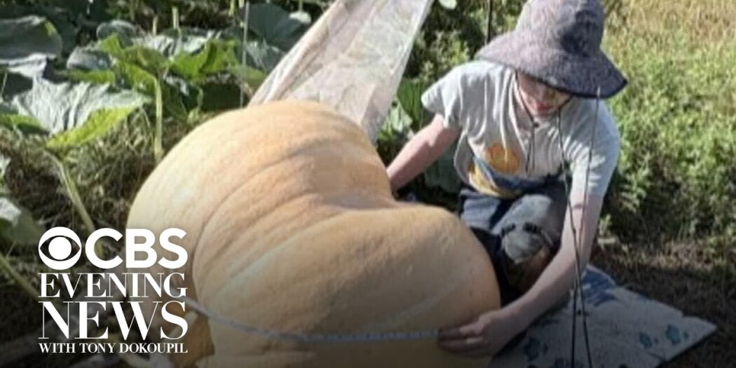 13-year-old Harold Harris with his giant 500-pound pumpkin