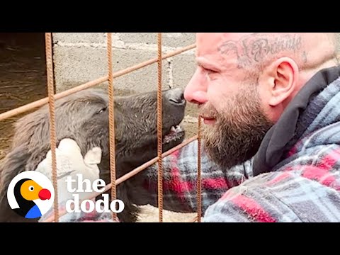 Bruno Jelović surrounded by rescued dogs on his dog ranch in Bosnia
