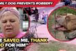 Rambo, the family pit bull who scared off masked attackers in San Antonio
