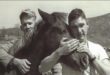 Two U.S. Marines with the war horse Reckless in Korea