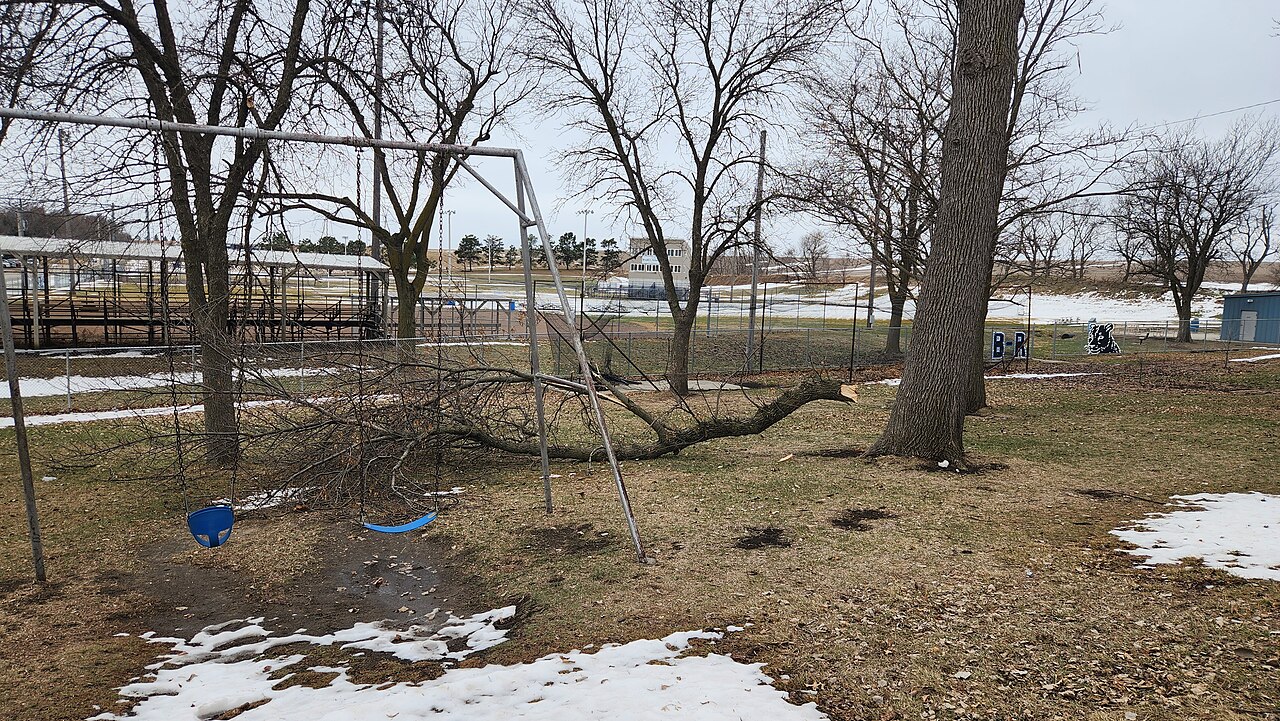 Fallen branches and debris after a severe storm