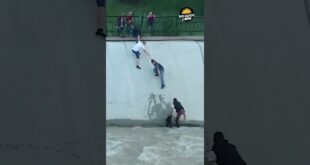 Strangers link arms to rescue a dog in Almaty
