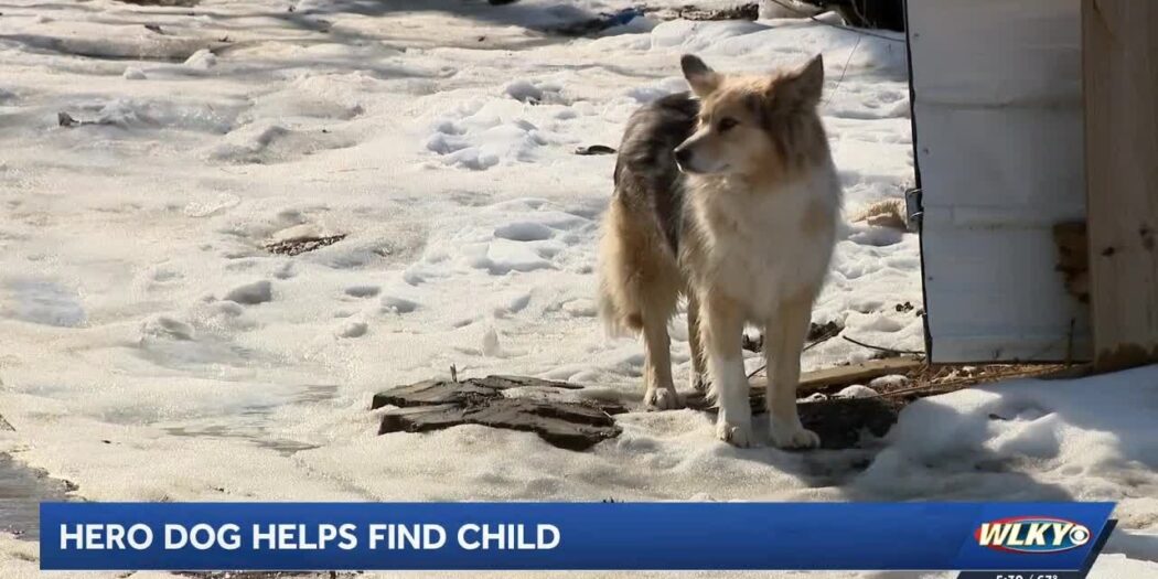 A dog helps Louisville police find a missing 3-year-old boy